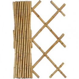 Traliccio bamboo cm 200x200h